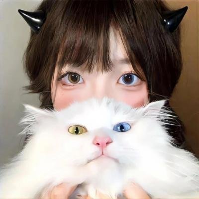 太空狗与涡轮猫